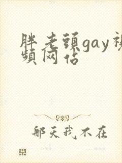 胖老头gay视频网站