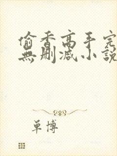偷香高手完整版无删减小说封面