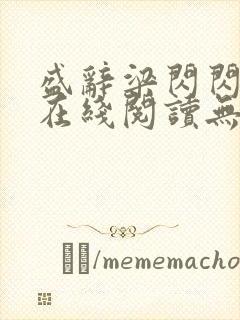 盛辞梁闪闪小说在线阅读无弹窗