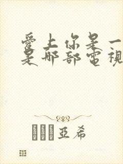 爱上你是一个错是哪部电视剧的歌