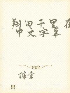 翔田千里 在线 中文字幕封面