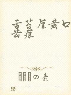 舌苔厚黄口臭有齿痕