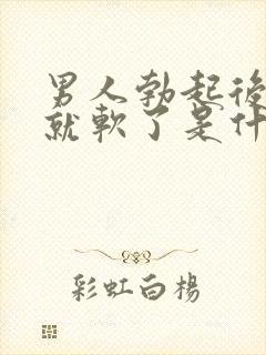 男人勃起后很快就软了是什么原因