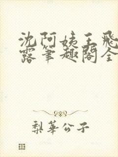 沈阿姨王飞李露露笔趣阁全文阅读封面