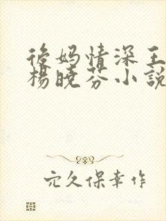 后妈情深王磊与杨晓芬小说