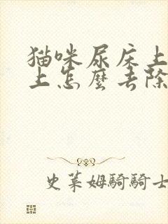 猫咪尿床上被子上怎么去除尿味