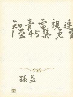 知青电视连续剧1至45集免费观看