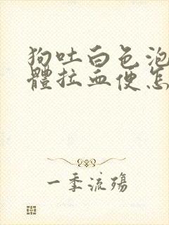 狗吐白色泡沫液体拉血便怎么治疗封面