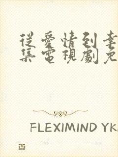 从爱情到幸福全集电视剧免费观看