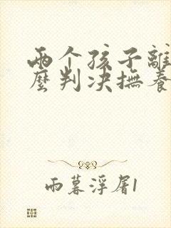 两个孩子离婚怎么判决抚养权