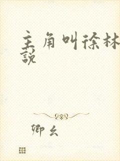 主角叫徐林的小说