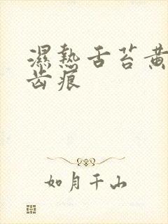 湿热舌苔黄腻有齿痕