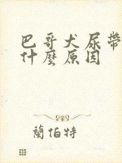 巴哥犬尿带血是什么原因