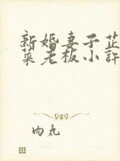 新婚妻子芷珊和菜老板小许小说类似