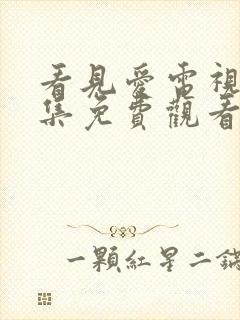 看见爱电视剧全集免费观看完整版封面