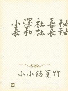 小泽社长秘书社长和社长秘书的背景封面