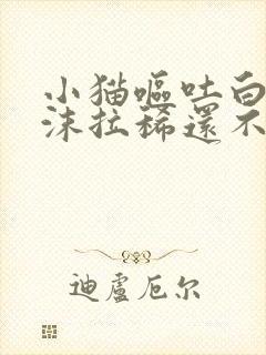 小猫呕吐白色泡沫拉稀还不吃