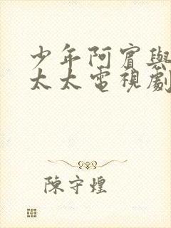 少年阿宾与房东太太电视剧播放