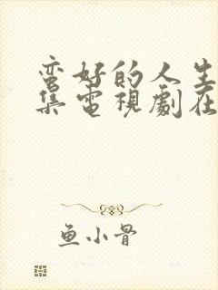 蛮好的人生40集电视剧在线看