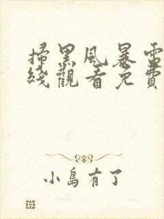 扫黑风暴电影在线观看免费完整版