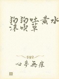 狗狗吐黄水带泡沫吃草