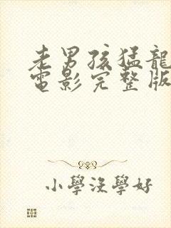 老男孩猛龙过江电影完整版