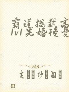 霸道总裁高干文1v1先婚后爱小娇妻封面