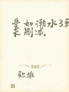 爱如潮水3韩国未删减封面