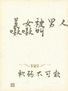 美女被男人操的嗷嗷叫封面