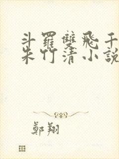 斗罗双飞千仞雪朱竹清小说