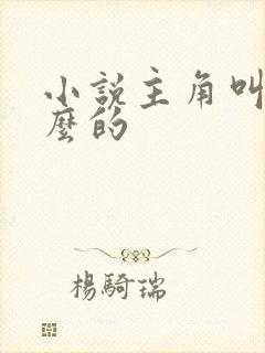 小说主角叫沈什么的