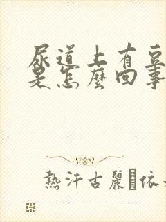 尿道上有豆腐渣是怎么回事封面