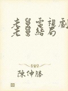 老舅电视剧最后老舅结局