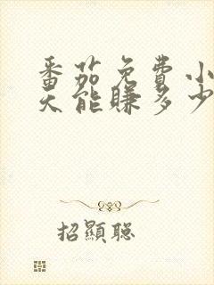 番茄免费小说一天能赚多少钱