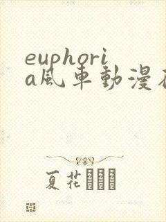 euphoria风车动漫在线观看