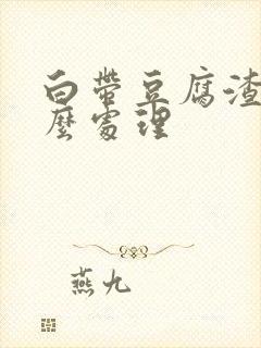 白带豆腐渣样怎么处理