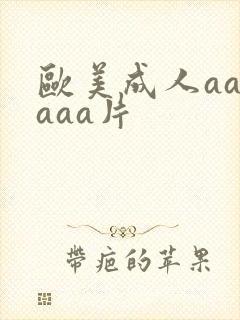 欧美成人aaaaaa片