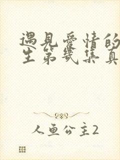 遇见爱情的利先生第几集真相大白