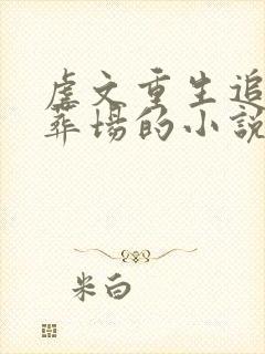 虐文重生追妻火葬场的小说