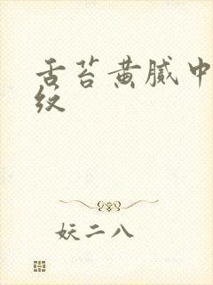 舌苔黄腻中间裂纹封面