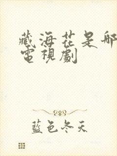 藏海花是哪一部电视剧封面