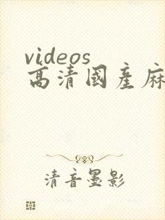 videos 高清国产麻豆