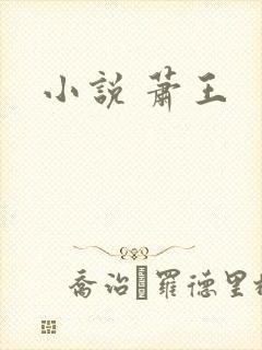 小说 萧王封面
