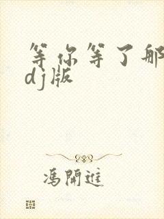 等你等了那么久dj版