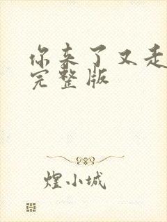 你来了又走原唱完整版