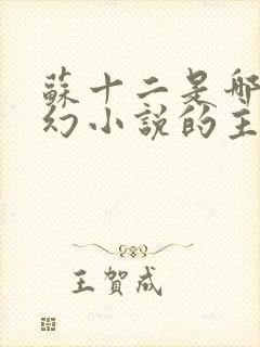 苏十二是哪部玄幻小说的主角封面