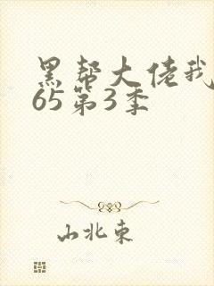 黑帮大佬我的365第3季