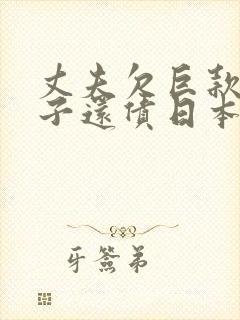 丈夫欠巨款,妻子还债日本封面