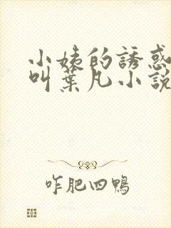 小姨的诱惑主角叫叶凡小说封面