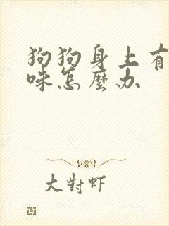 狗狗身上有尿骚味怎么办封面